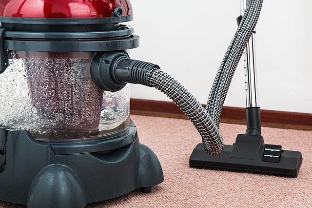 Carpet Cleaning