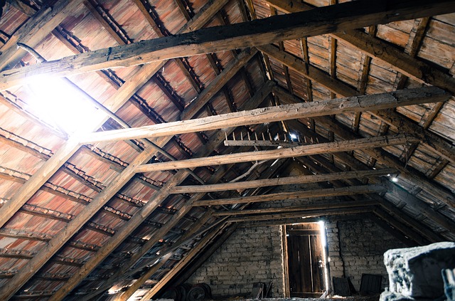 Spring Cleaning - Attic/Basement