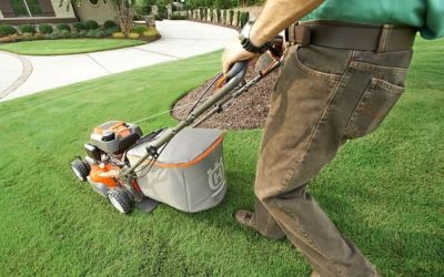 Easy Lawn and Garden Fixes